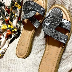 Ccocci Women's Grey snake Flat Sandal Shoes Size 7 Like New…